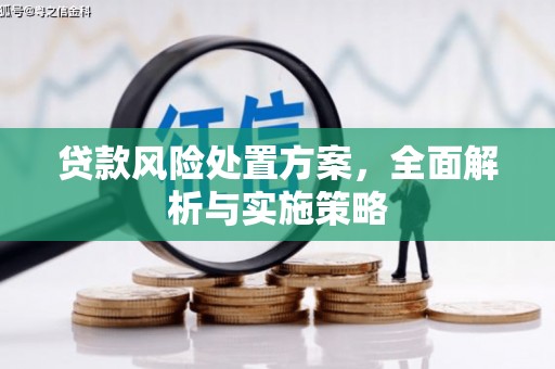 滑县贷款风险处置方案，全面解析与实施策略