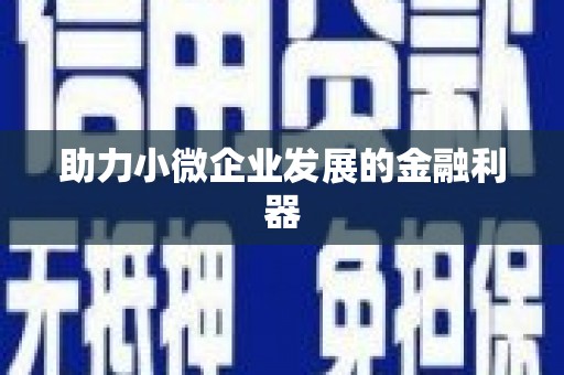 滑县助力小微企业发展的金融利器