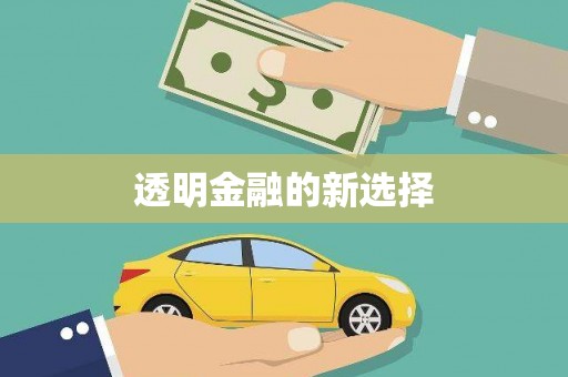 滑县透明金融的新选择