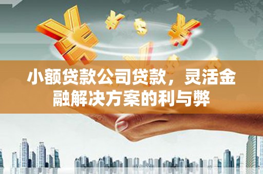 滑县小额贷款公司贷款，灵活金融解决方案的利与弊