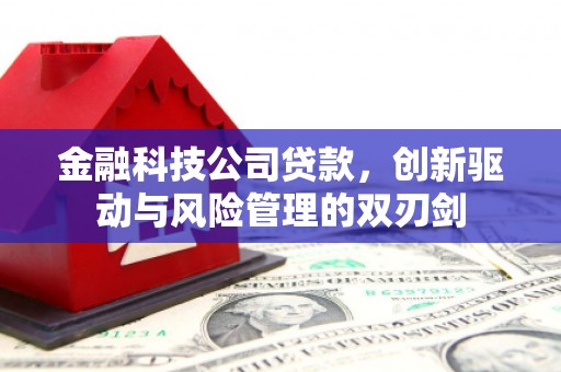 滑县金融科技公司贷款，创新驱动与风险管理的双刃剑